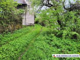 casa-musceleana-3-cam-terern-44225-mp-in-dregoslavele-arges-21