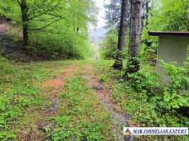casa-musceleana-3-cam-terern-44225-mp-in-dregoslavele-arges-23