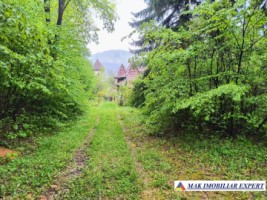 casa-musceleana-3-cam-terern-44225-mp-in-dregoslavele-arges-25