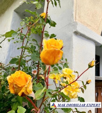casa-3-camere-teren-2000-mp-valea-mare-pravat-arges-14