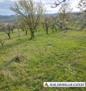 de-vanzare-teren-4400-mp-in-comuna-suici-arges-3