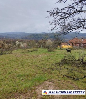 de-vanzare-teren-4400-mp-in-comuna-suici-arges-4