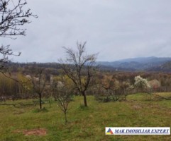 de-vanzare-teren-4400-mp-in-comuna-suici-arges-6