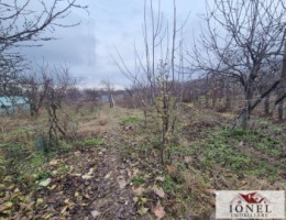 casa-de-vanzare-in-cugir-13