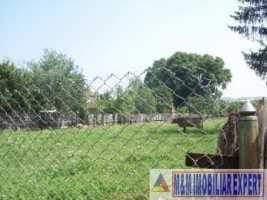 teren-1549-mp-casa-intravilan-in-centru-campulung-muscel-ag-4