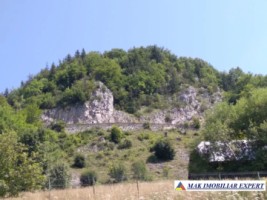 teren-3818-mp-intravilan-de-vanzare-in-dambovicioara-arges