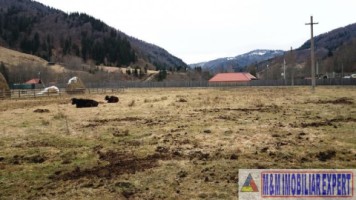 teren-intraextravilan-2000-mp-de-vanzare-rucar-satic-arges-4