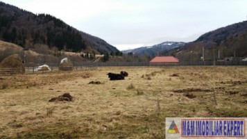 teren-intraextravilan-2000-mp-de-vanzare-rucar-satic-arges-5