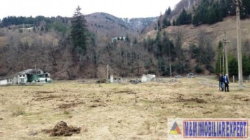teren-intraextravilan-2000-mp-de-vanzare-rucar-satic-arges-7