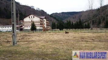 teren-intraextravilan-2000-mp-de-vanzare-rucar-satic-arges-2