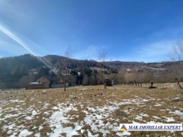 vand-teren-2694-mp-intravilan-in-rucar-satic-arges-1