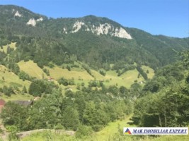 vand-teren-2694-mp-intravilan-in-rucar-satic-arges-3
