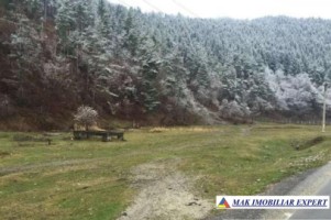 de-vanzare-teren-2400-m-in-leresti-baraj-mic-arges-4