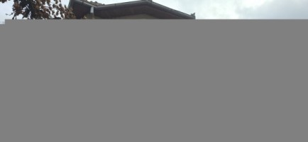vanzare-casa-in-comberevoiesti-impreuna-cu-magazin-intr-o-zona-linistita-la-pretul-de-49000-de-euro-negociabil-cu-suprafata-teren-de-3746-mp-11