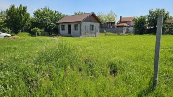 dumbrava-1219-mp-teren-ideal-casa-asfalt-utilitati-1