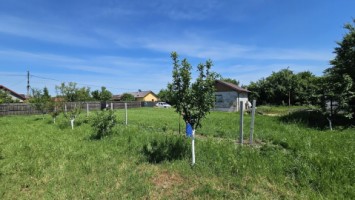 dumbrava-1219-mp-teren-ideal-casa-asfalt-utilitati-5