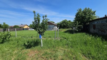 dumbrava-1219-mp-teren-ideal-casa-asfalt-utilitati-6