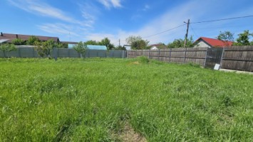 dumbrava-1219-mp-teren-ideal-casa-asfalt-utilitati-14