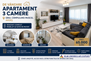 apartament-3-camere-cf-1-et-4-in-grui-campulung-muscel-arges-0