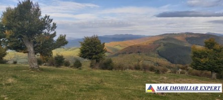 inch-concesvanz-teren-1-ha-in-valea-mare-pravat-arges