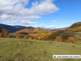 inch-concesvanz-teren-1-ha-in-valea-mare-pravat-arges-1