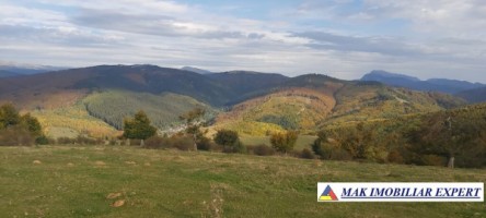 inch-concesvanz-teren-1-ha-in-valea-mare-pravat-arges-2