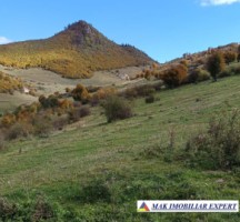inch-concesvanz-teren-1-ha-in-valea-mare-pravat-arges-7
