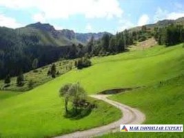 inch-concesvanz-teren-1-ha-in-valea-mare-pravat-arges-9