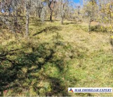 vand-teren-extravilan-17-ha-la-munte-in-nucsoara-arges