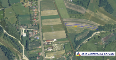 vand-teren-3200-mp-extravilan-in-draghici-mihaesti-arges-7