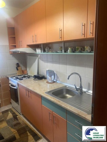 casa-de-vacanta-cu-5-camere-situata-in-bustenigolful-regal-8