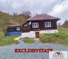 casa-de-vanzare-in-bistra-0