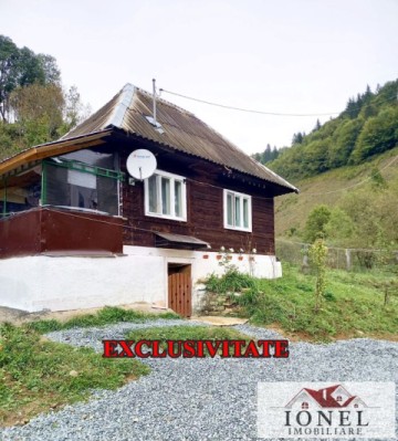 casa-de-vanzare-in-bistra-1