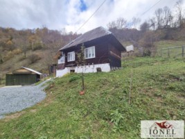 casa-de-vanzare-in-bistra-2
