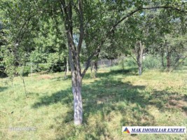 casa-3-cam-teren-1320-mp-in-apa-sarata-campulung-muscel-ag-10