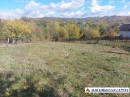 de-vanzare-2-terenuri-3500-mp-in-berevoesti-ungureni-arges-0