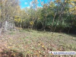 de-vanzare-2-terenuri-3500-mp-in-berevoesti-ungureni-arges-5