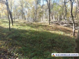 de-vanzare-2-terenuri-3500-mp-in-berevoesti-ungureni-arges-6