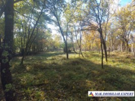 de-vanzare-2-terenuri-3500-mp-in-berevoesti-ungureni-arges-10
