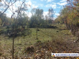 de-vanzare-2-terenuri-3500-mp-in-berevoesti-ungureni-arges-11