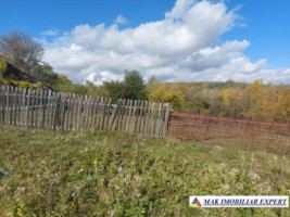 de-vanzare-2-terenuri-3500-mp-in-berevoesti-ungureni-arges-13