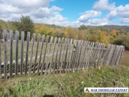 de-vanzare-2-terenuri-3500-mp-in-berevoesti-ungureni-arges-18