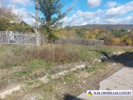 de-vanzare-2-terenuri-3500-mp-in-berevoesti-ungureni-arges-16