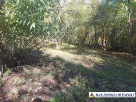 de-vanzare-2-terenuri-3500-mp-in-berevoesti-ungureni-arges-20