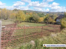 de-vanzare-2-terenuri-3500-mp-in-berevoesti-ungureni-arges-19