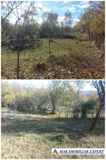 de-vanzare-2-terenuri-3500-mp-in-berevoesti-ungureni-arges-23
