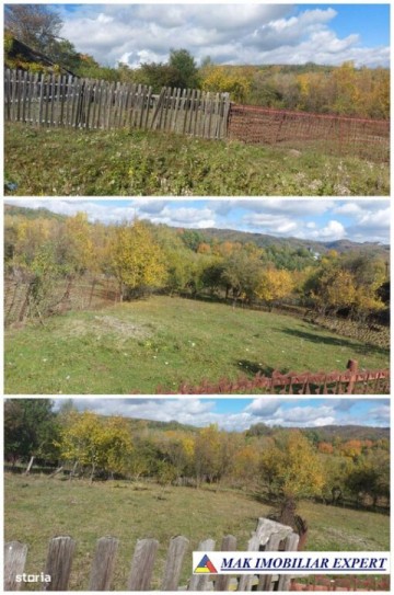 de-vanzare-2-terenuri-3500-mp-in-berevoesti-ungureni-arges-24