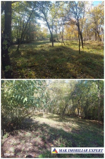 de-vanzare-2-terenuri-3500-mp-in-berevoesti-ungureni-arges-25
