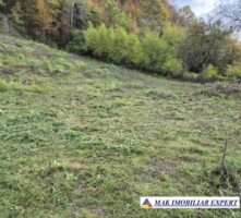 teren-1483-mp-intravilan-in-apa-sarata-campulung-muscel-ag-3