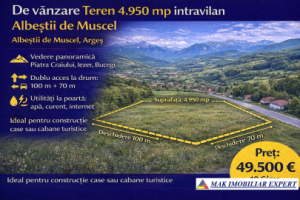 teren-intravilan-4950-mp-in-albestii-de-muscel-arges-0